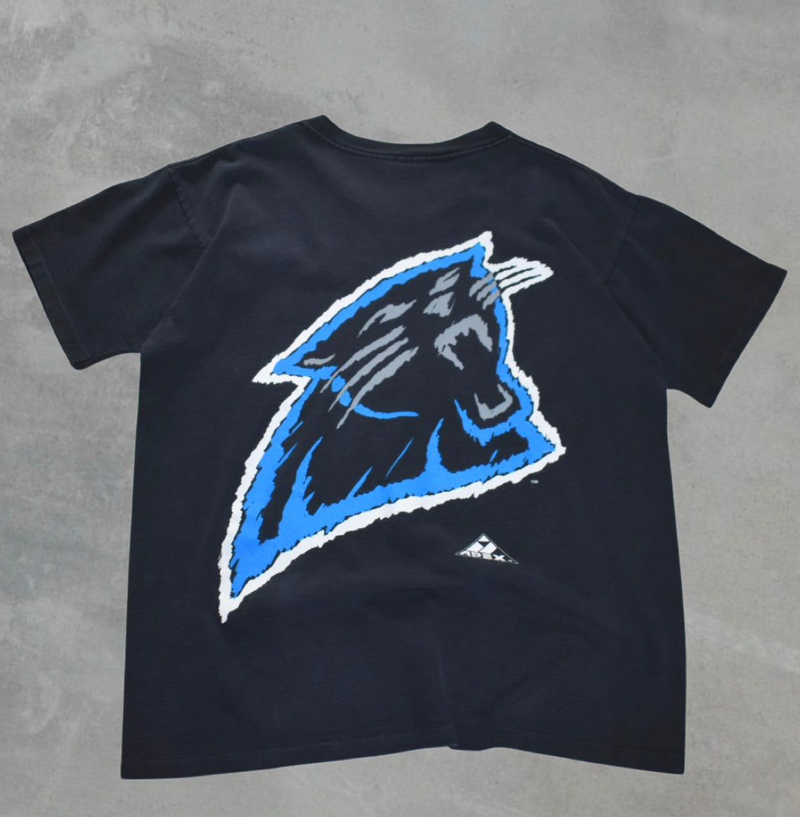 Carolina Panthers Big Logo Tee (L)