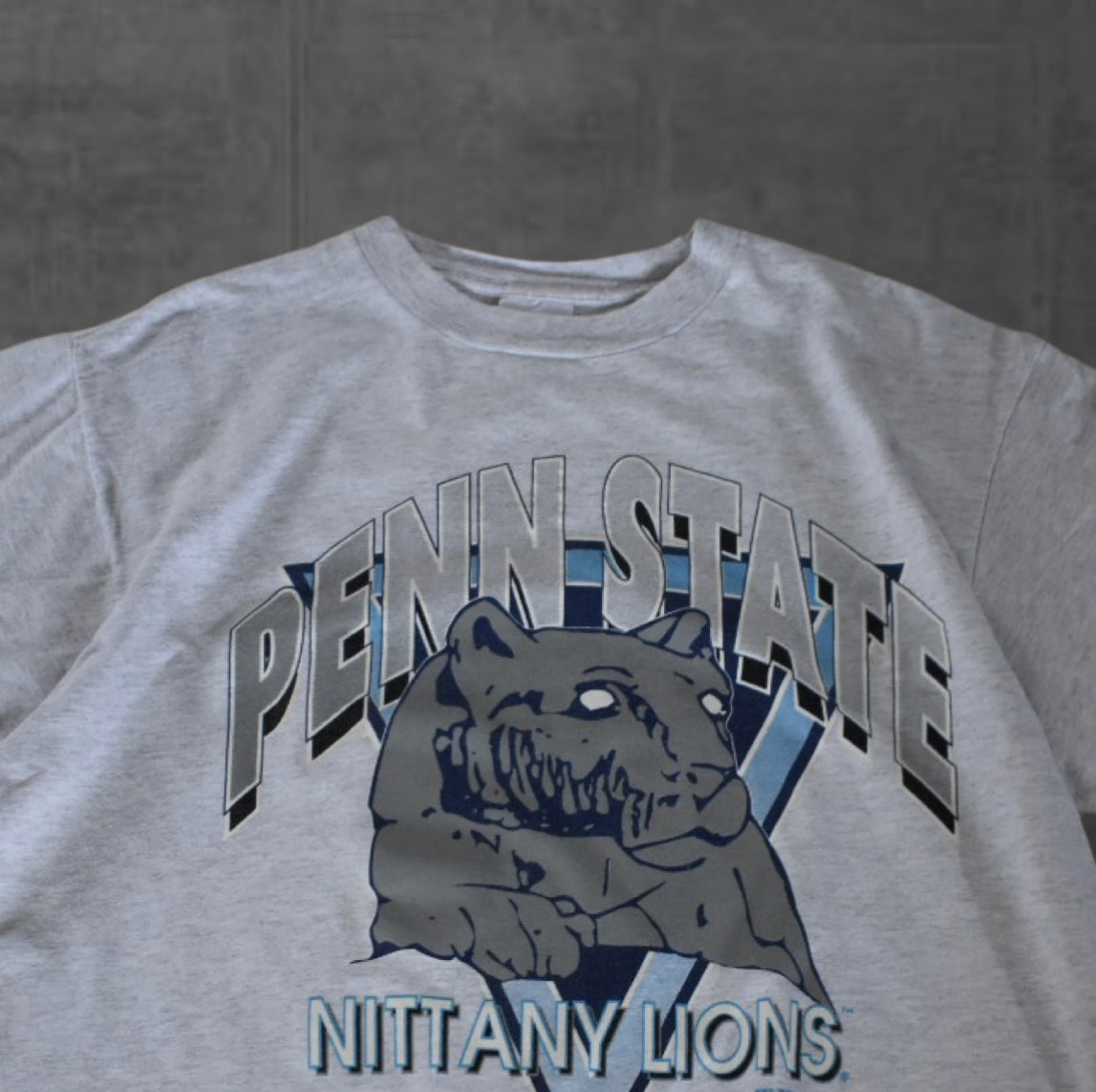 Penn State Big Print Tee (XL)